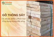 Gỗ thông sấy - Đặc điểm, phân loại và ứng dụng