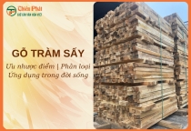 Gỗ tràm là gỗ gì? Ưu nhược điểm và ứng dụng