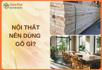 Nội thất nên dùng gỗ gì? Top các loại gỗ tự nhiên được ưa chuộng
