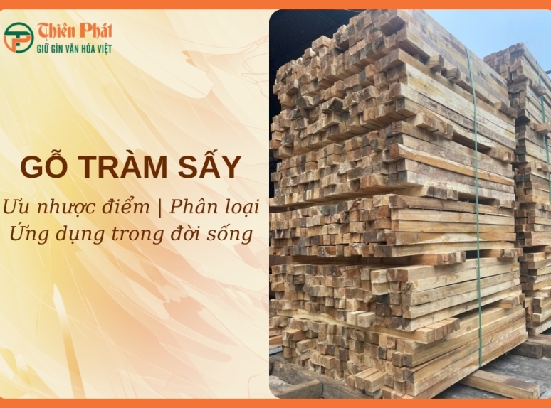 Gỗ tràm là gỗ gì? Ưu nhược điểm và ứng dụng