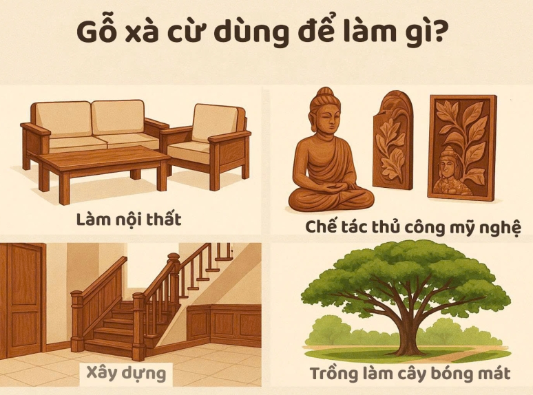 Gỗ xà cừ dùng để làm gì? Công dụng của gỗ xà cừ