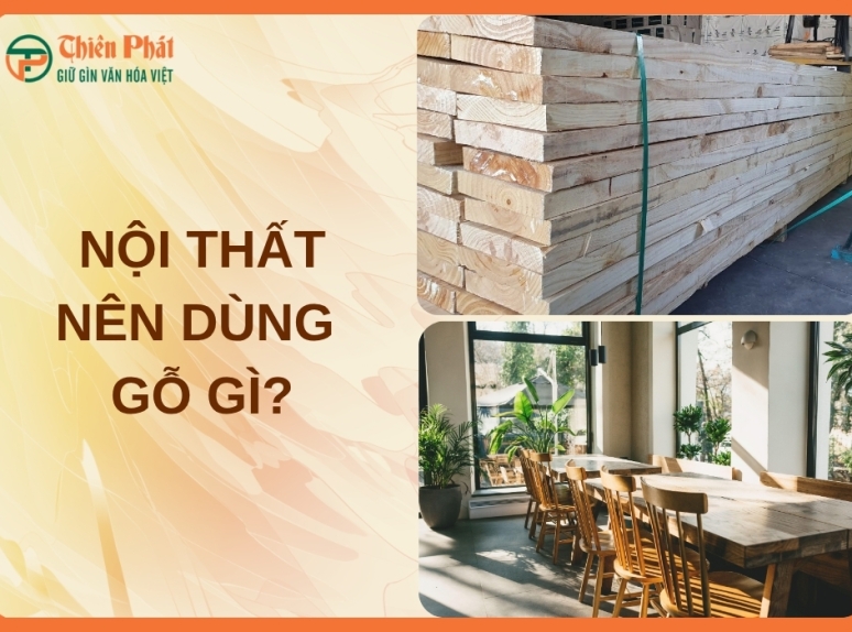 Nội thất nên dùng gỗ gì? Top các loại gỗ tự nhiên được ưa chuộng